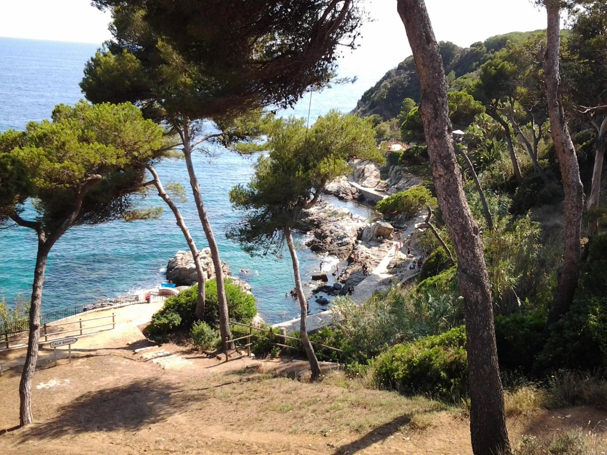 Apartamento Sol- Fanals Lejlighed Lloret de Mar Eksteriør billede